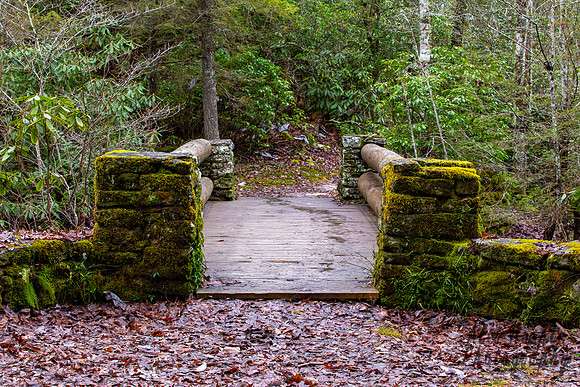 IMG_2894-HDR