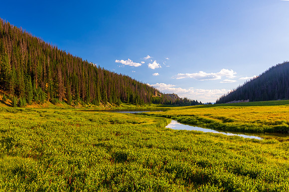 Valley Stream