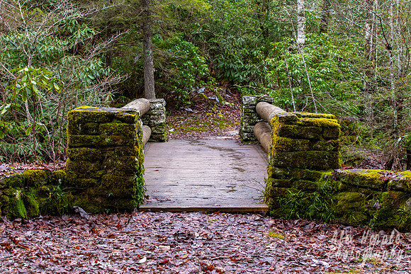 Deep Woods Bridge