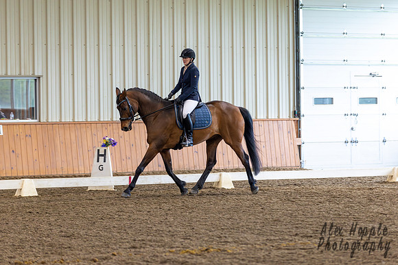 HoughtonShow25--9