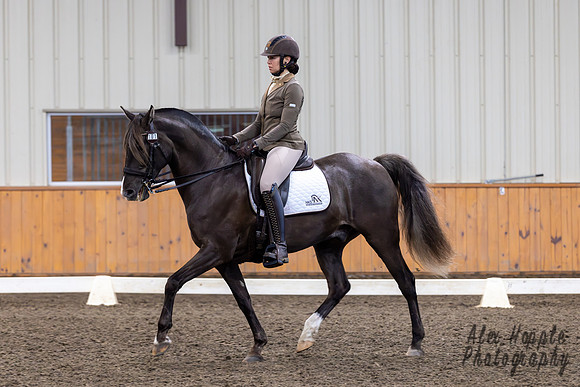 HoughtonShow25--2