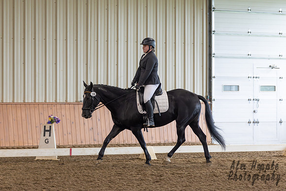 HoughtonShow25--11