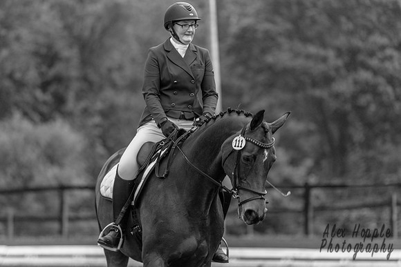 HoughtonShow25-0016