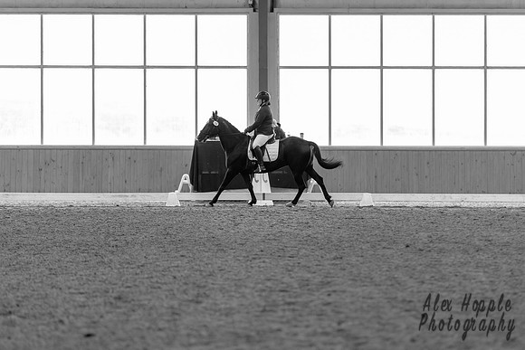 HoughtonShow25--13